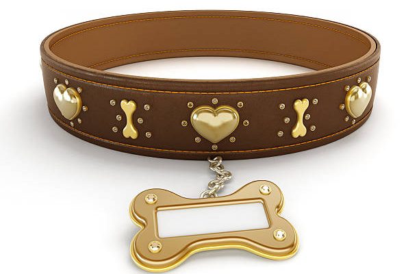 Comment choisir un collier en cuir marron ?