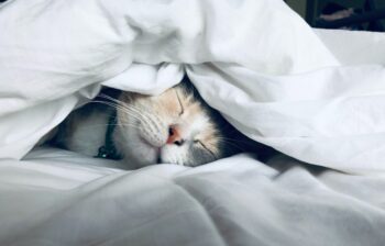 Quelle est la meilleure tenue pour bien dormir ?