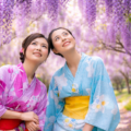 Femmes en kimono sous les glycines